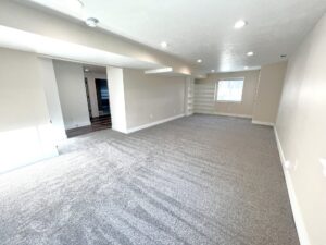basement finishing