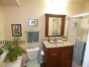 bathroom remodel