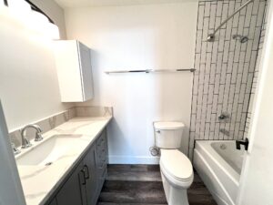 bathroom remodel