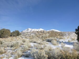 remodel before and after