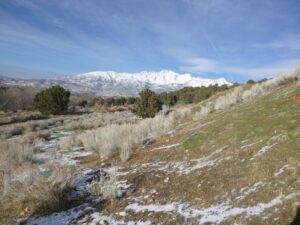 remodel before and after