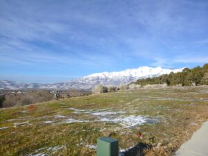 remodel before and after