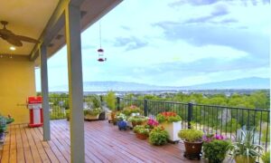 deck and patio construction